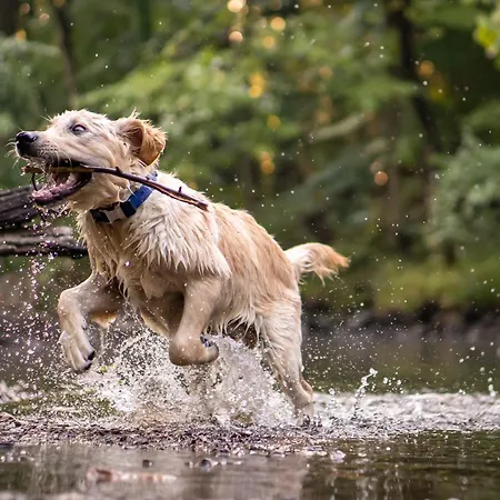 Fowo- Mangfalltal Wintermaerchen