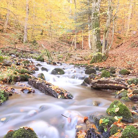 Apartament Fowo- Mangfalltal Ferien Am Fluss